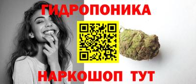 крисы Ачхой-Мартан