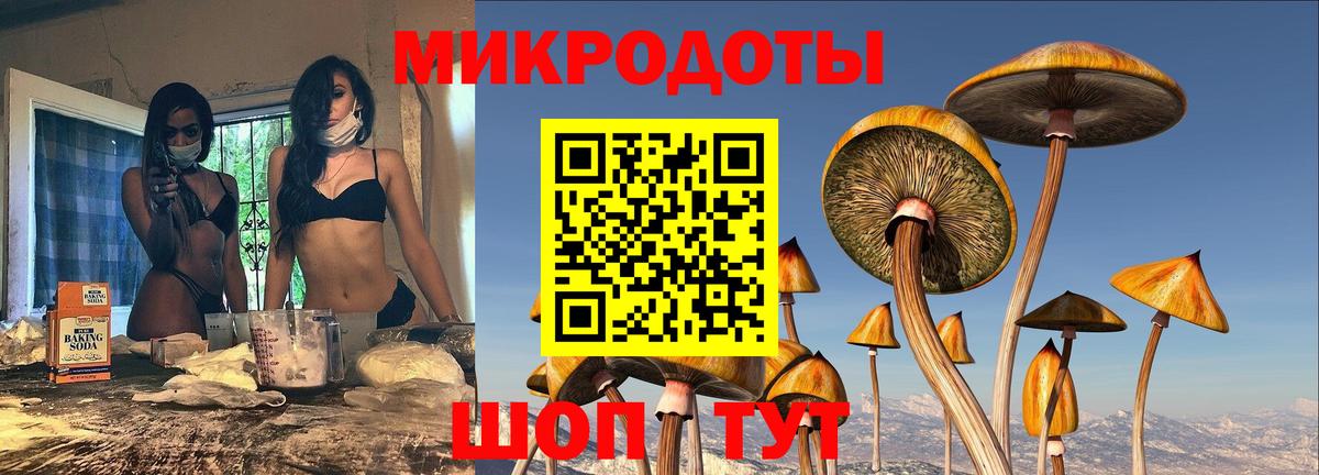 Галлюциногенные грибы MAGIC MUSHROOMS Городец