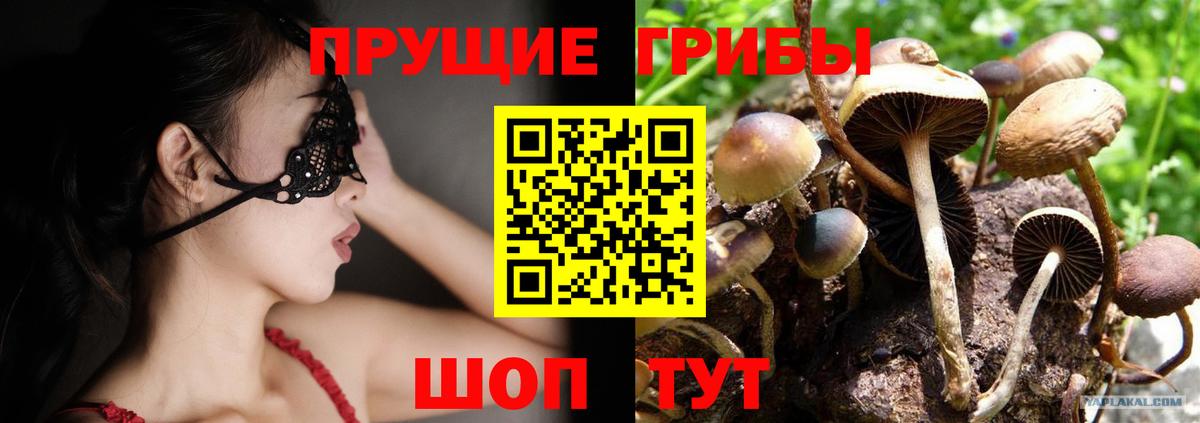 Галлюциногенные грибы Psilocybine cubensis  Вход с VPN  Галлюциногенные грибы Cubensis  Городец 